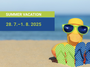 Company Summer Holiday 2025